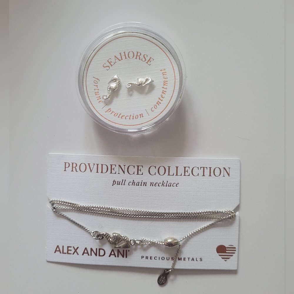 Alex and Ani Earrings and Necklace Set